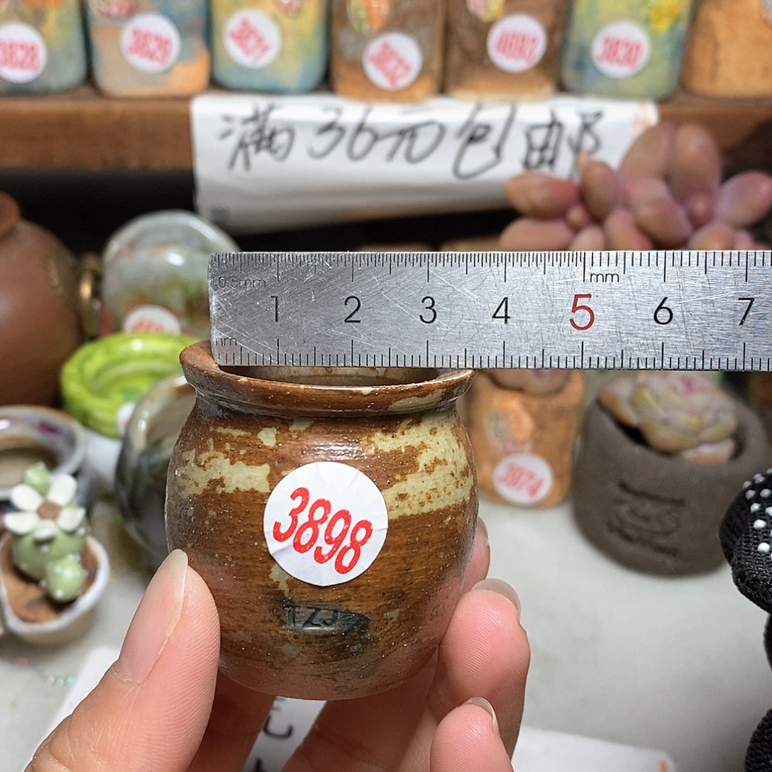 红陶拍5送一个小