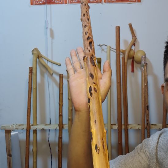 秦岭石山红牛筋，红荀子原生态