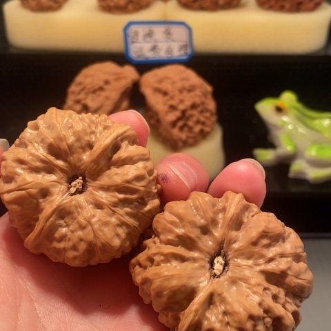 核桃手串/手链周**✨蛤蟆头