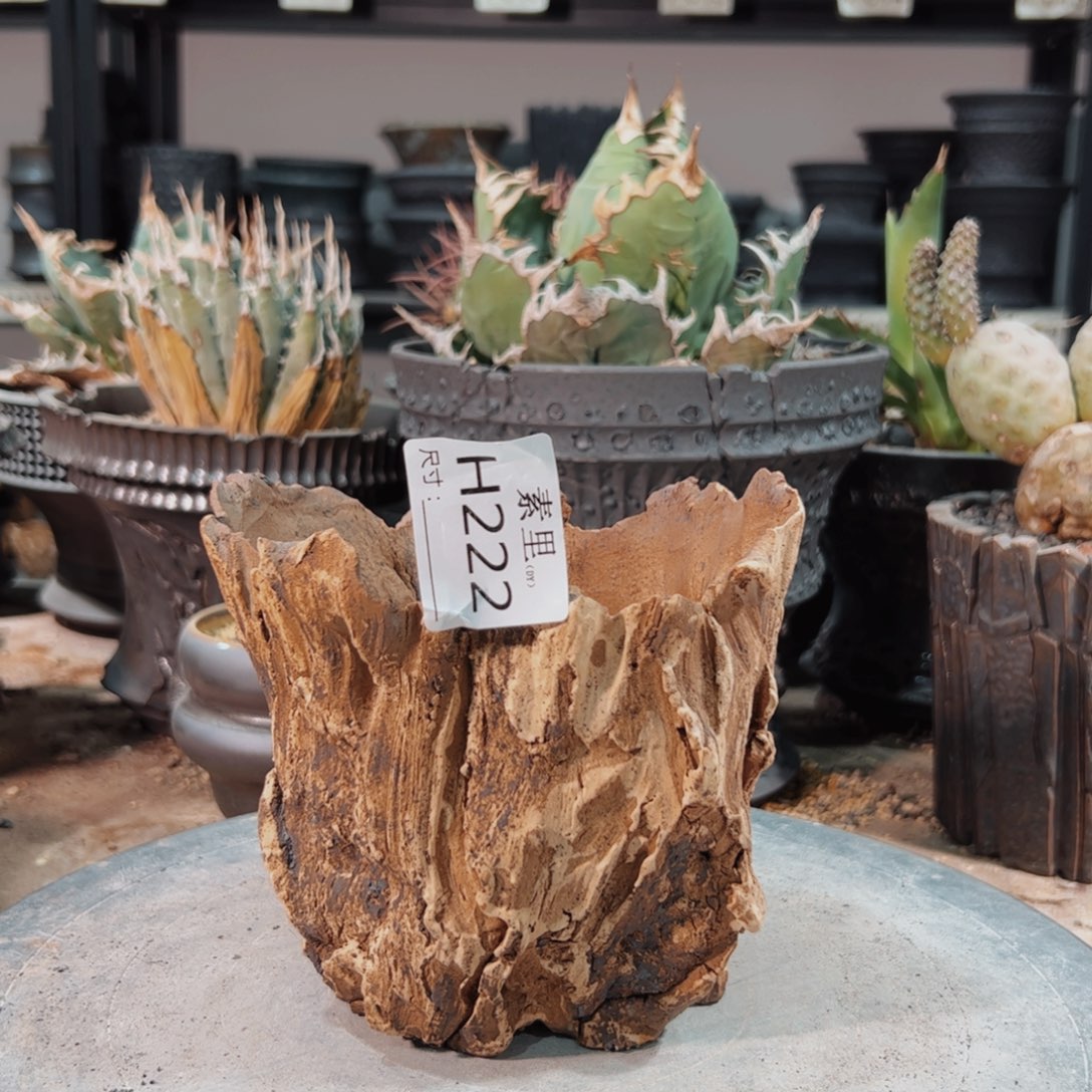 景德镇手工素里内口12.5高11