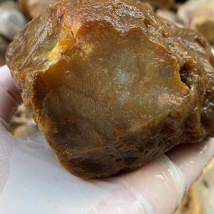 【闪购商品】未镶嵌珊瑚玉硅化玉