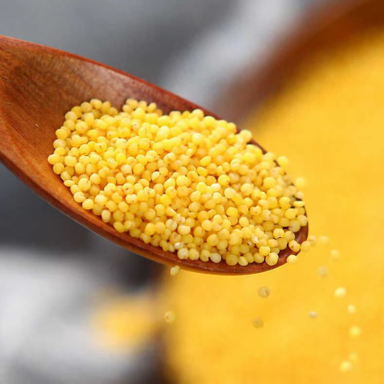 [春天专属]夏至枸杞  黄小米