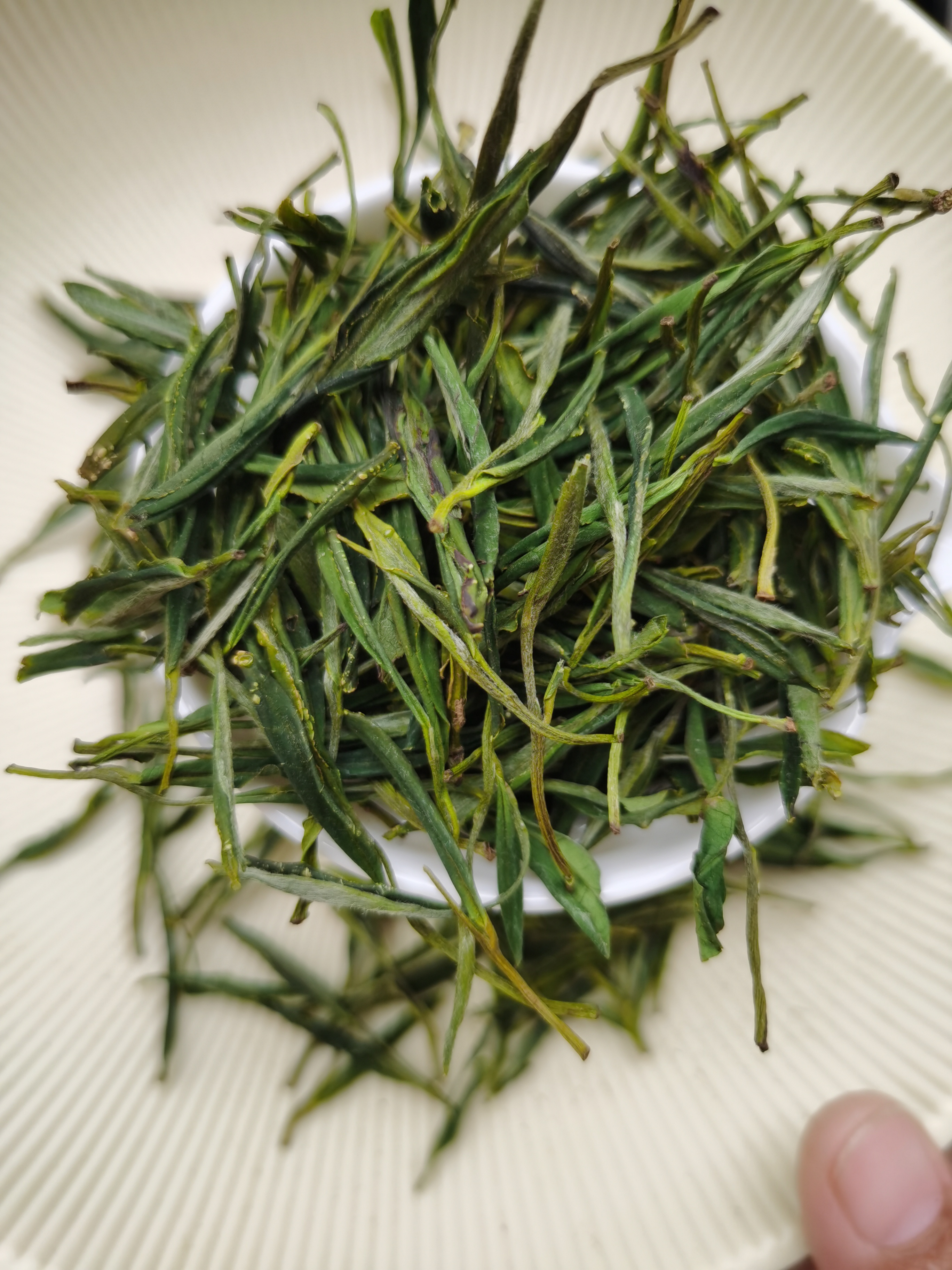 【A99】   高山野茶