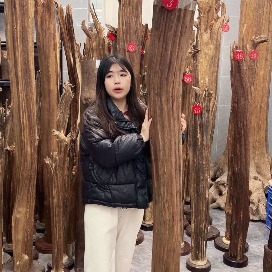 沉香摆件酷***朗沉香原料摆件工艺品