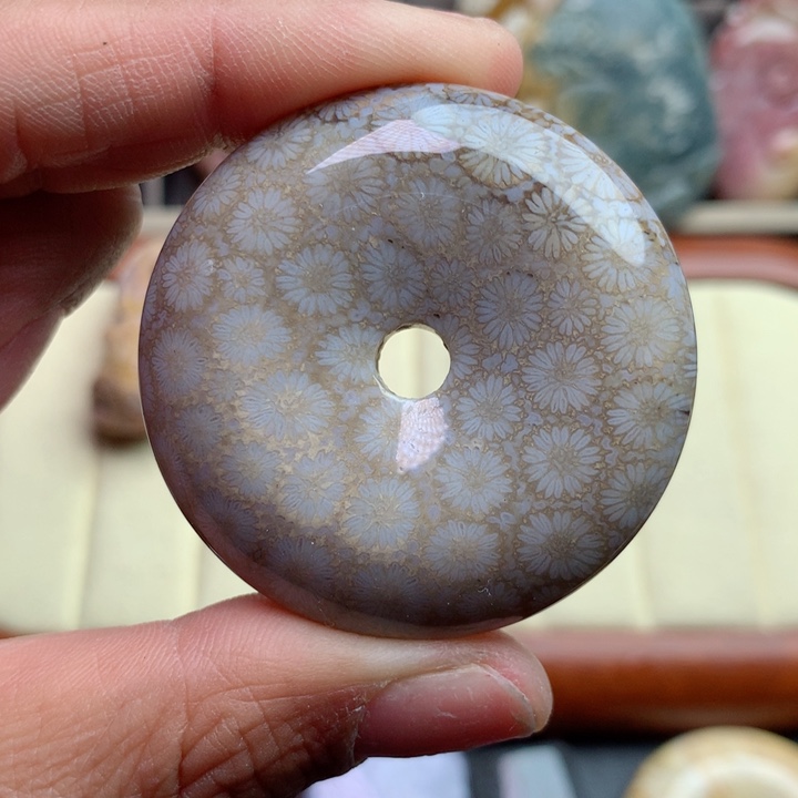 硅化珊瑚（珊瑚玉）颈饰未镶嵌