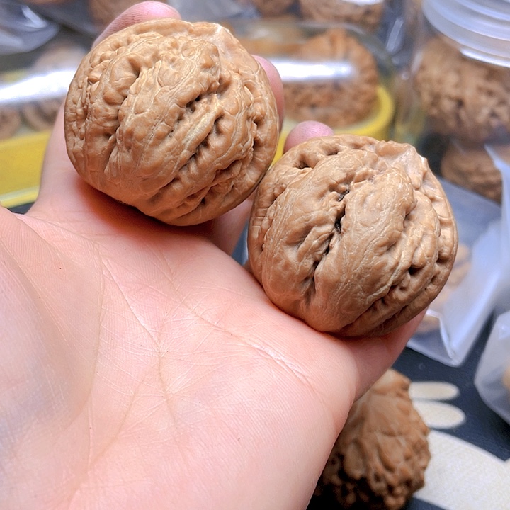 文玩核桃吊坠M*霸王龙一对