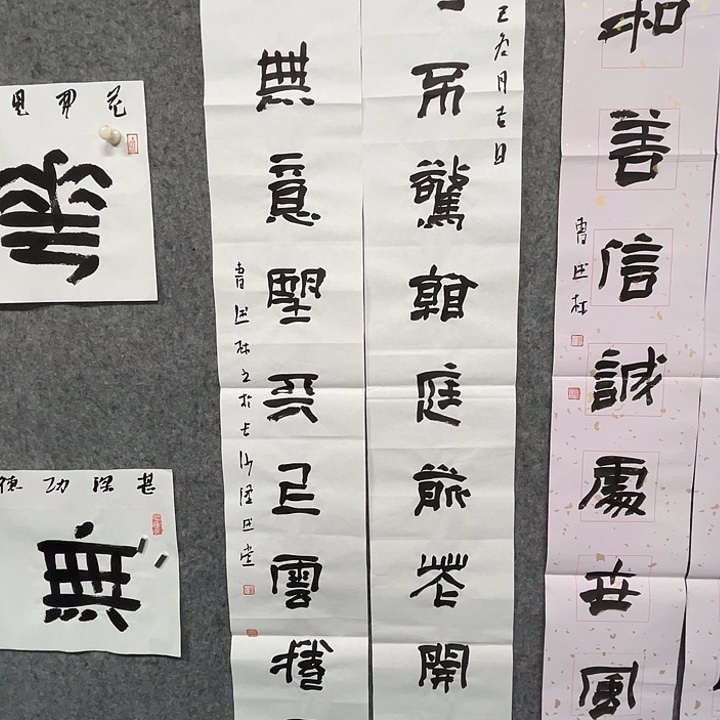 书法曹述林书法作品软片