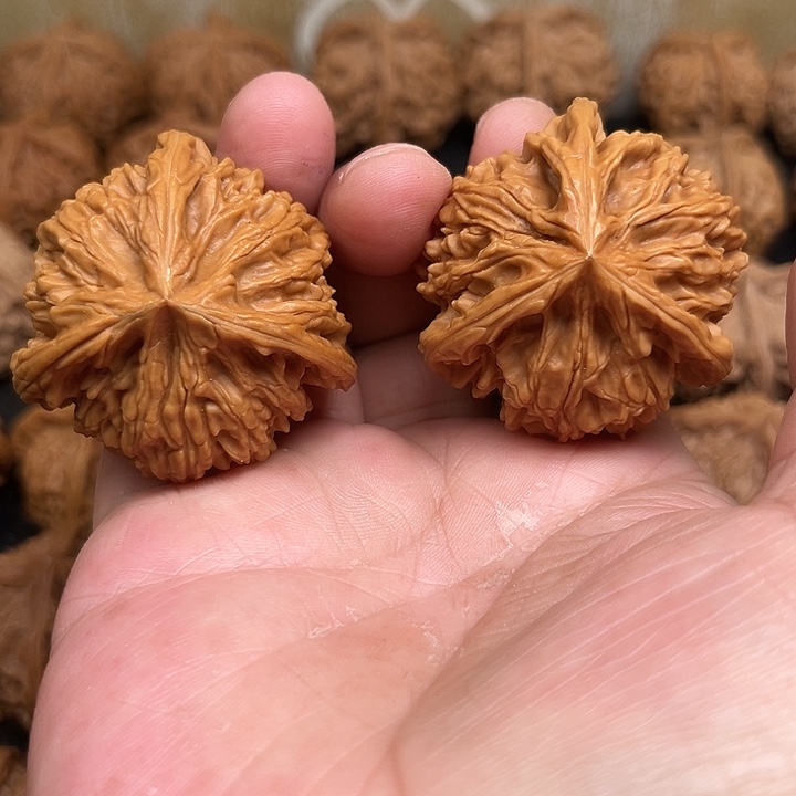 伟***~吊坠文玩核桃你们都在