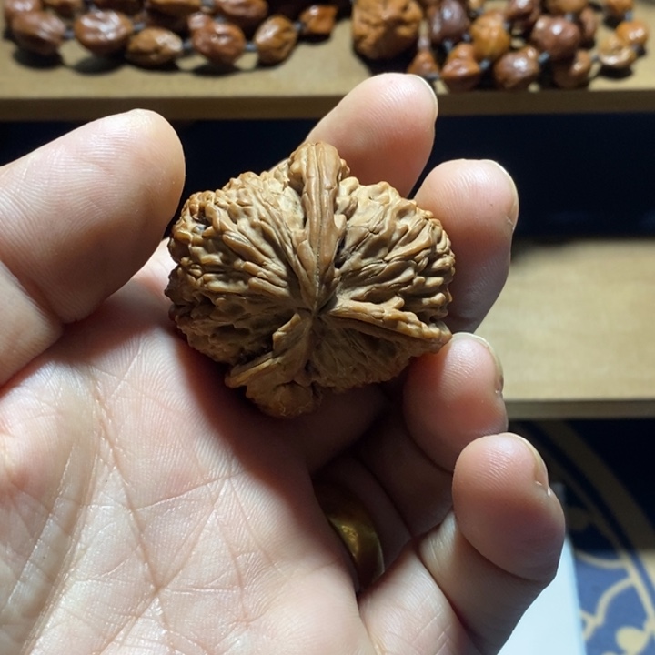 八***¥吊坠文玩核桃白狮子角