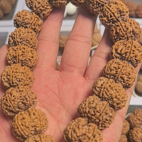 金刚菩提把件六瓣大金刚手持，原皮原色，下水精挑