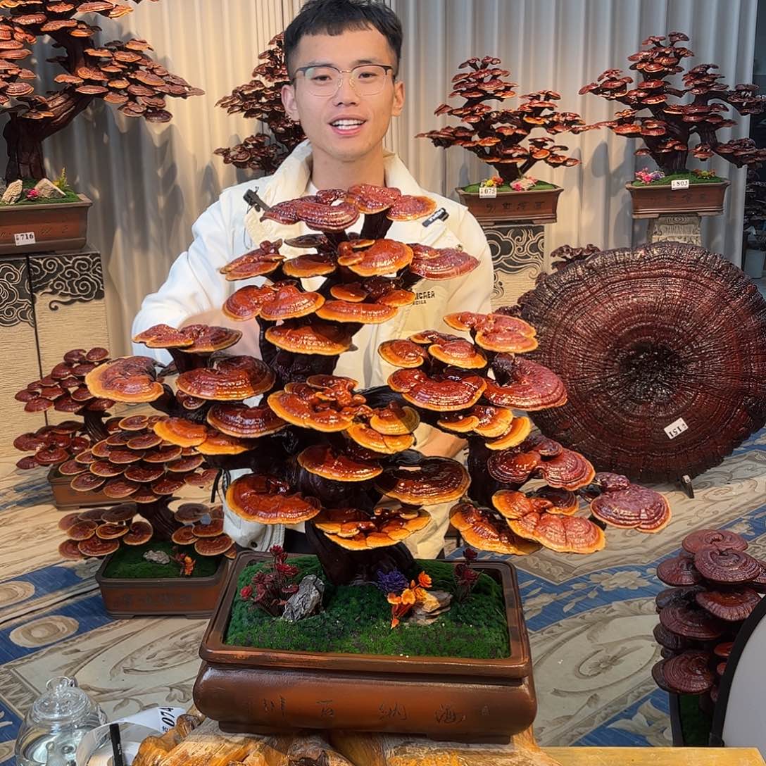 无花朵88888888889