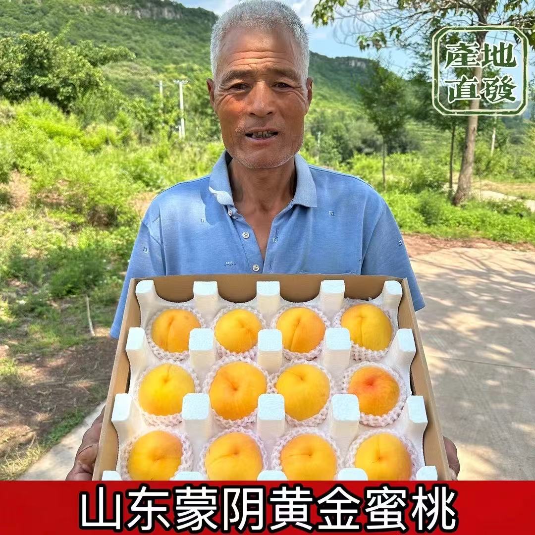 【顺丰包邮】纯甜正宗山东蒙阴黄桃  锦绣黄毛桃 新鲜水果爆汁桃子