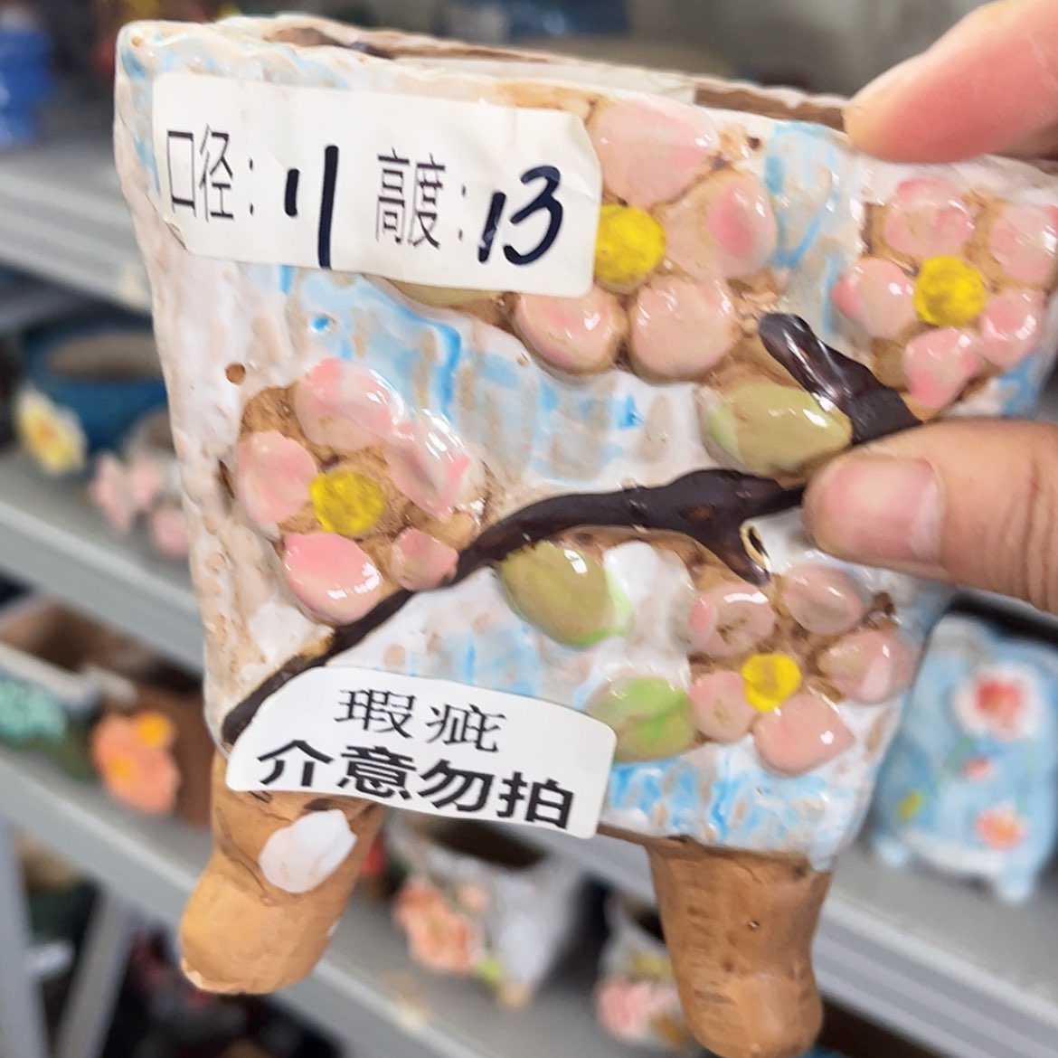 【闪购商品】红陶福利