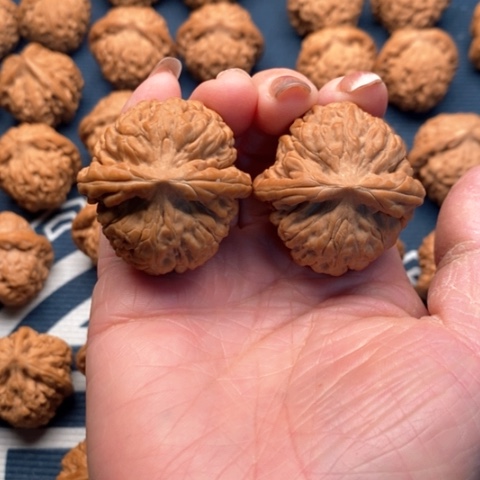 橄榄核手串/手链莲花37全品