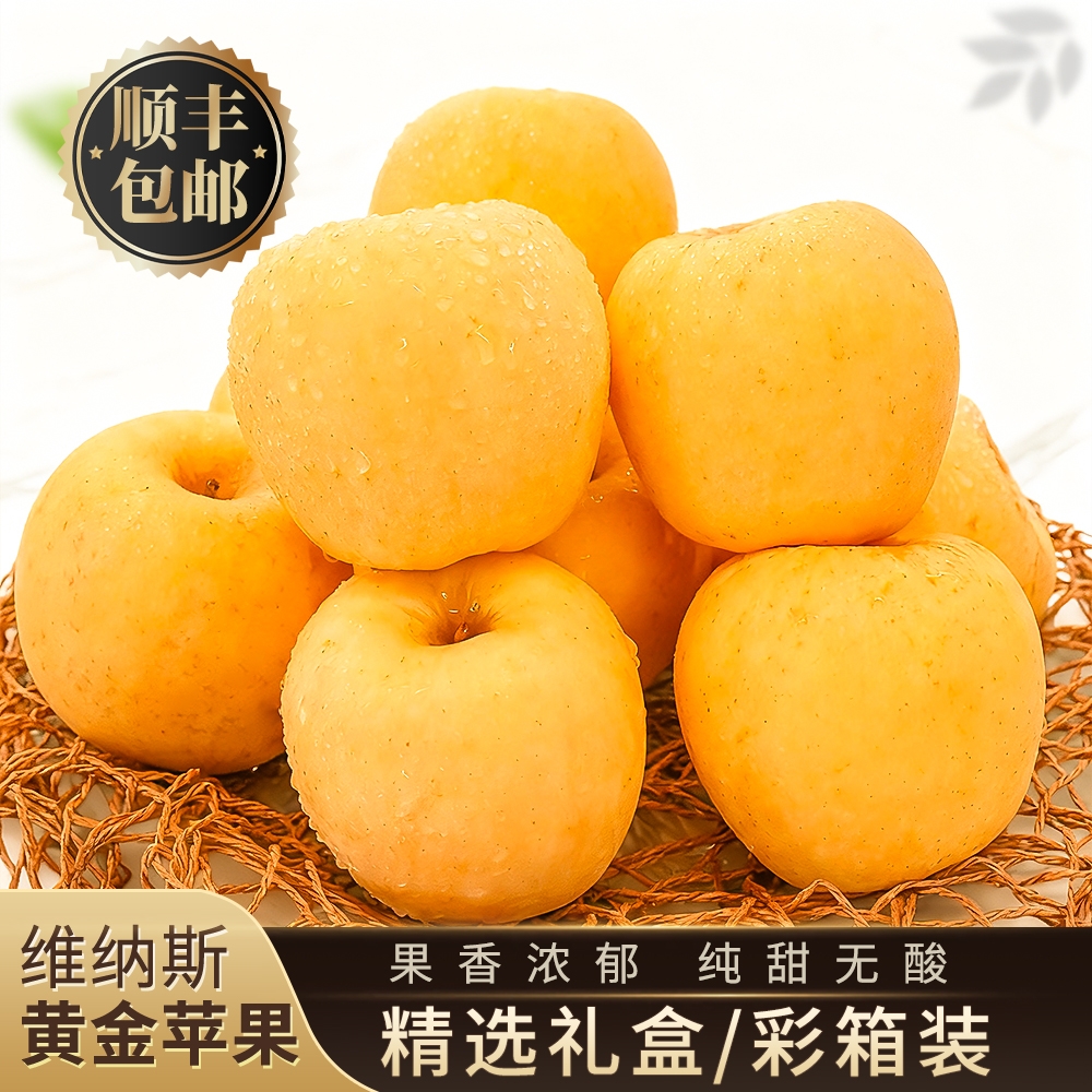 【礼盒/彩箱款】维纳斯黄金苹果山东烟台栖霞当季新果脆甜顺丰包邮