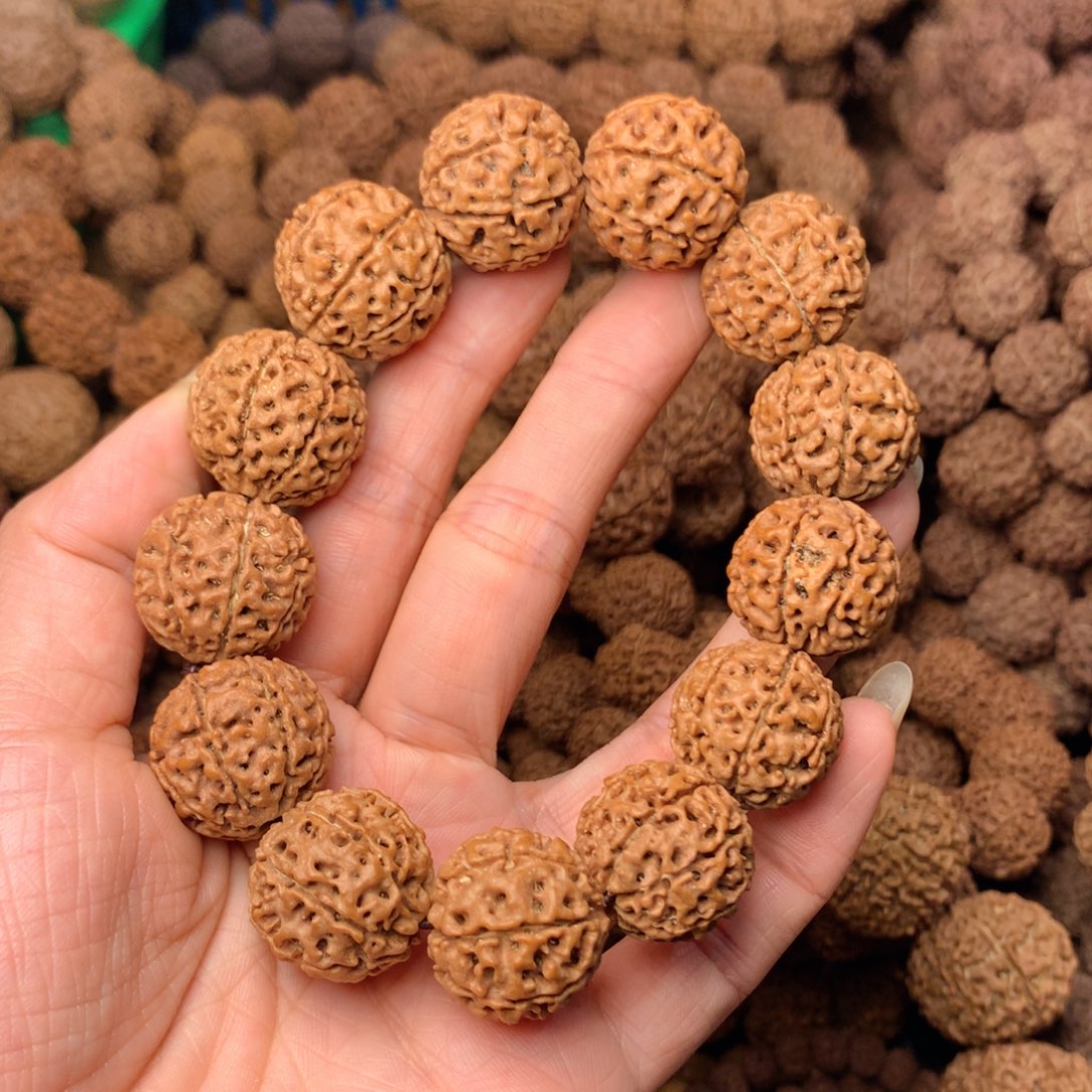 木8瓣爆肉卡20尺寸，68号