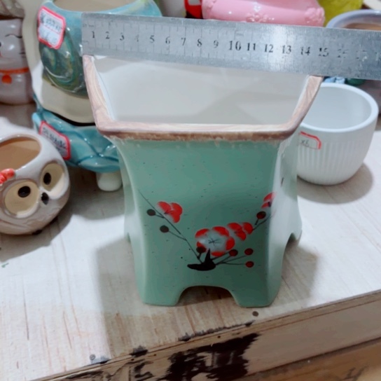 红陶1111111111111111