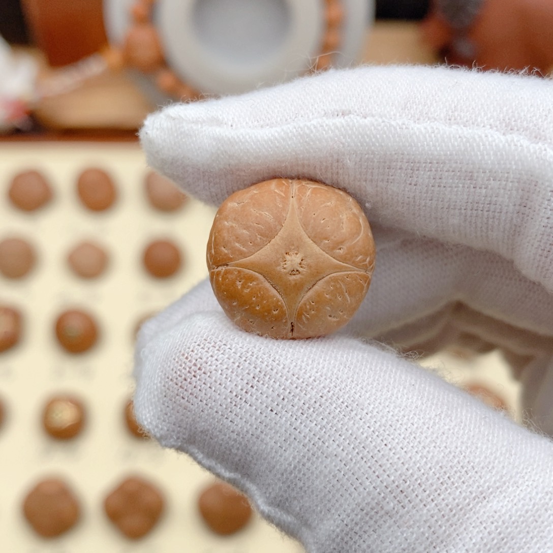 龙眼菩提吊坠麒麟