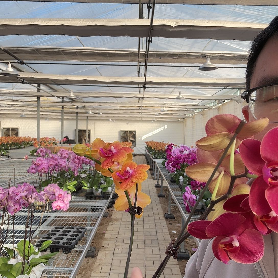 完全开放香恋单剑➕突尼斯2.8