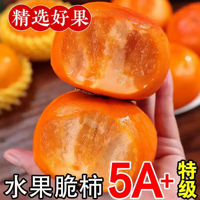 1巧克力脆柿脆甜冰糖心新鲜应季硬柿子孕妇可食产地直发