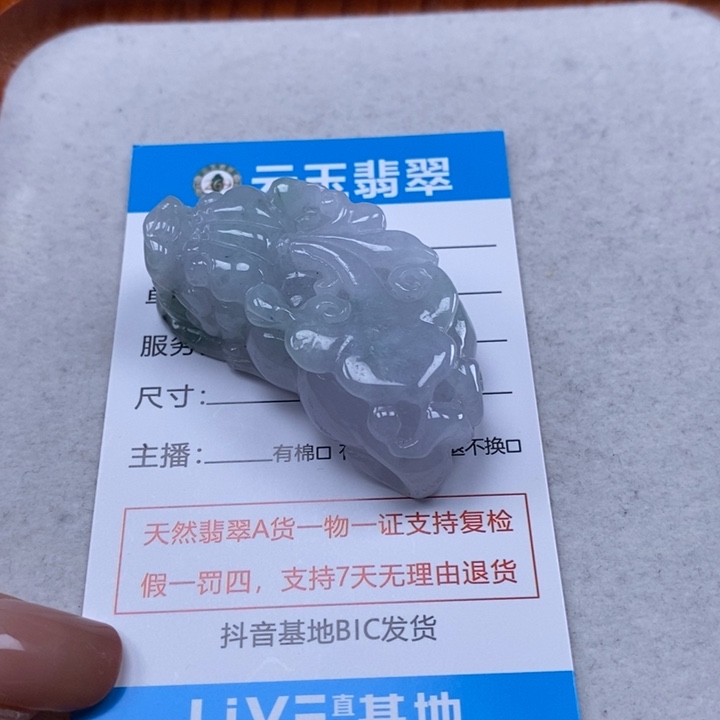 翡翠未镶嵌颈饰多人貔貅