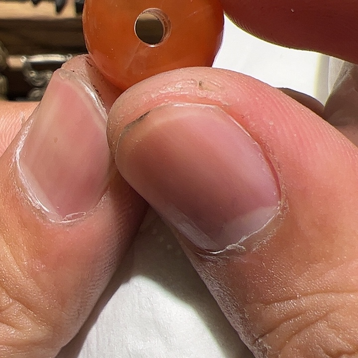 香榧木在这里的时候