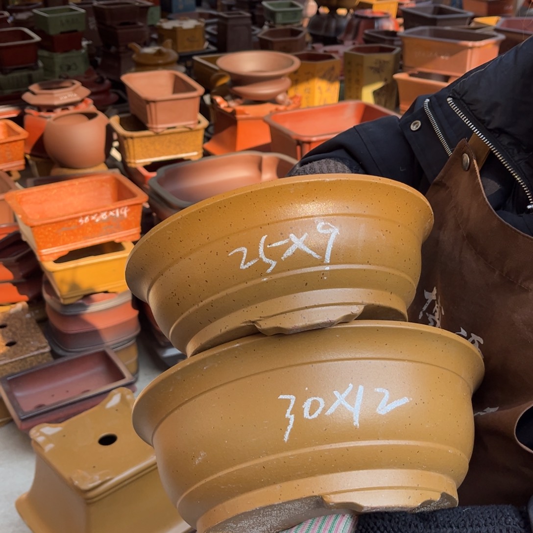 紫砂花盆盆景艺术