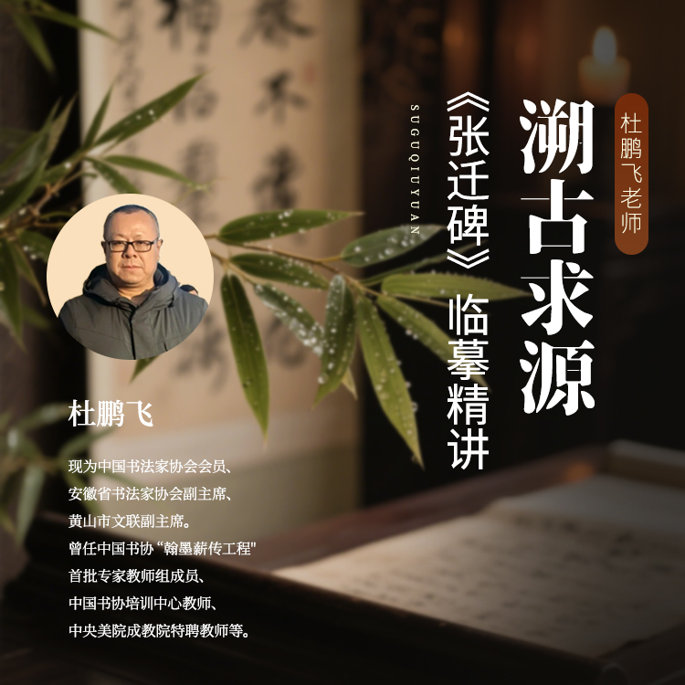 杜鹏飞：张迁碑临摹精讲 书法课程（12课时）