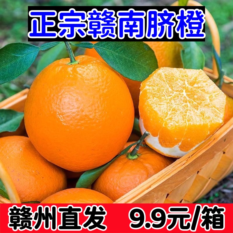江西赣州正宗赣南脐橙【赣州果园直发】新鲜清甜橙子手剥橙赣州脐橙