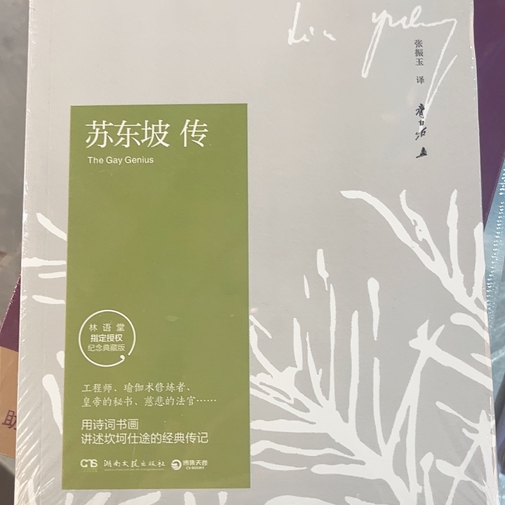 苏东坡传新书推荐全新