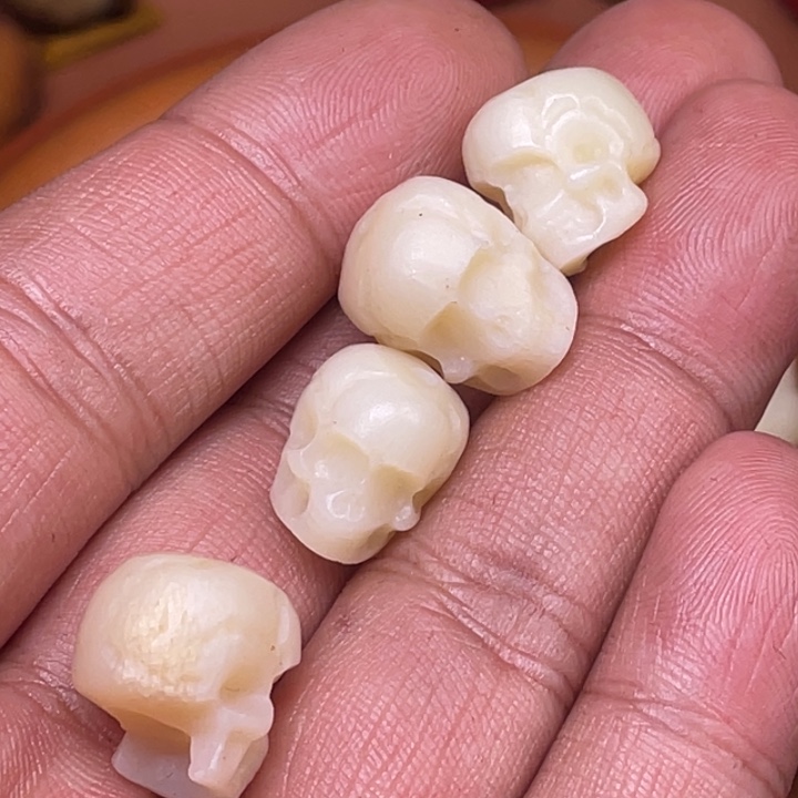 驼骨其他人工养殖