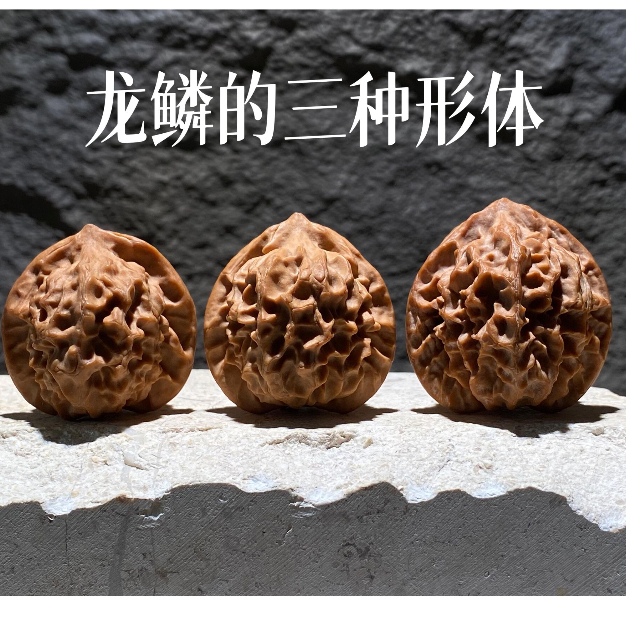 【渡鸦典藏毕业级】龙鳞纹宝香花（礼盒发货）