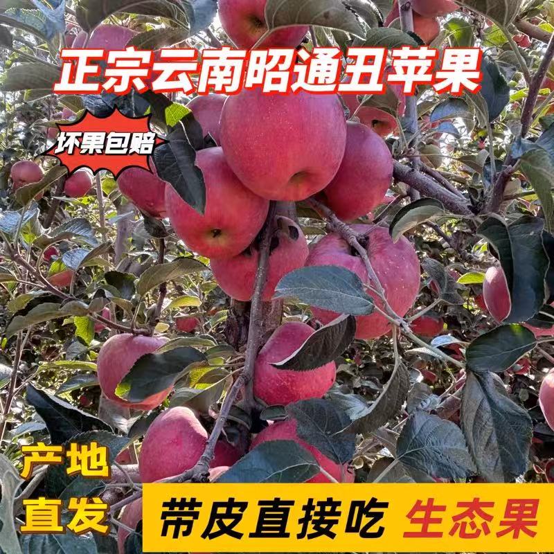 正宗云南昭通丑苹果新鲜当季水果脆甜多汁坏果包赔高原产地直发k