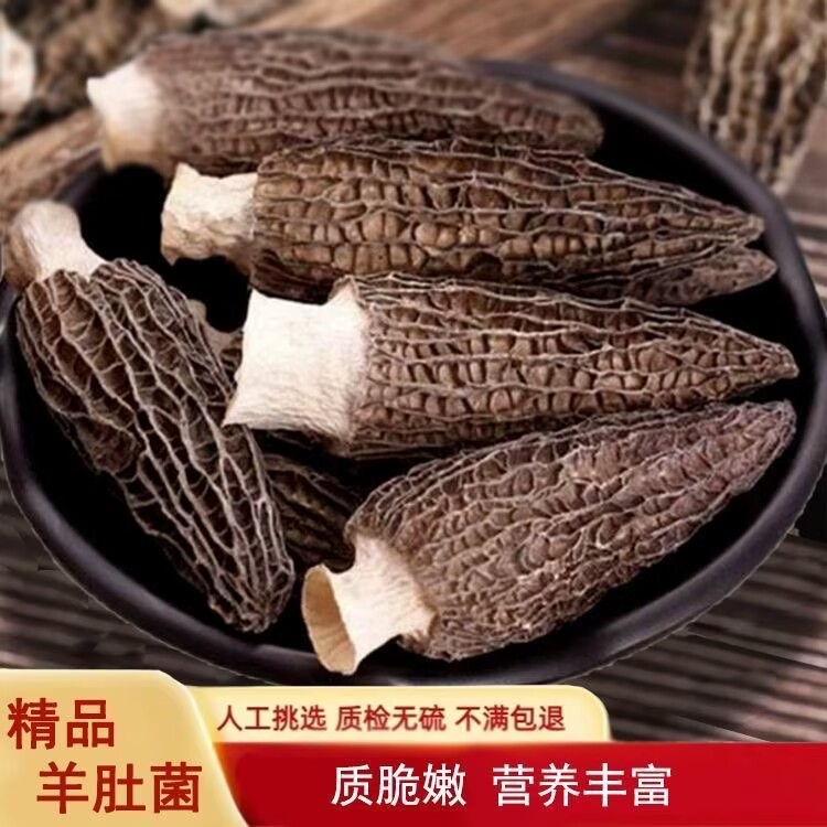 【菇鲜生】小可爱（宝宝菇）精选六妹3-5厘米  不剪脚头茬羊肚菌 