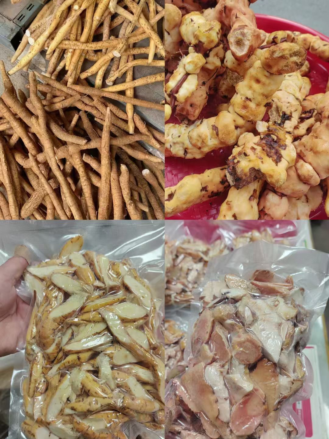 深山生五指毛桃土茯苓牛大力现挖煲汤