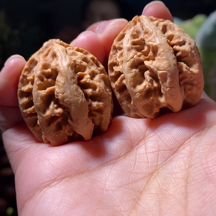 把件文玩核桃东北楸子小路 118