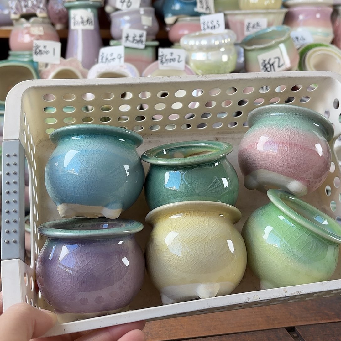 量货/5口高6深浅搭配发6