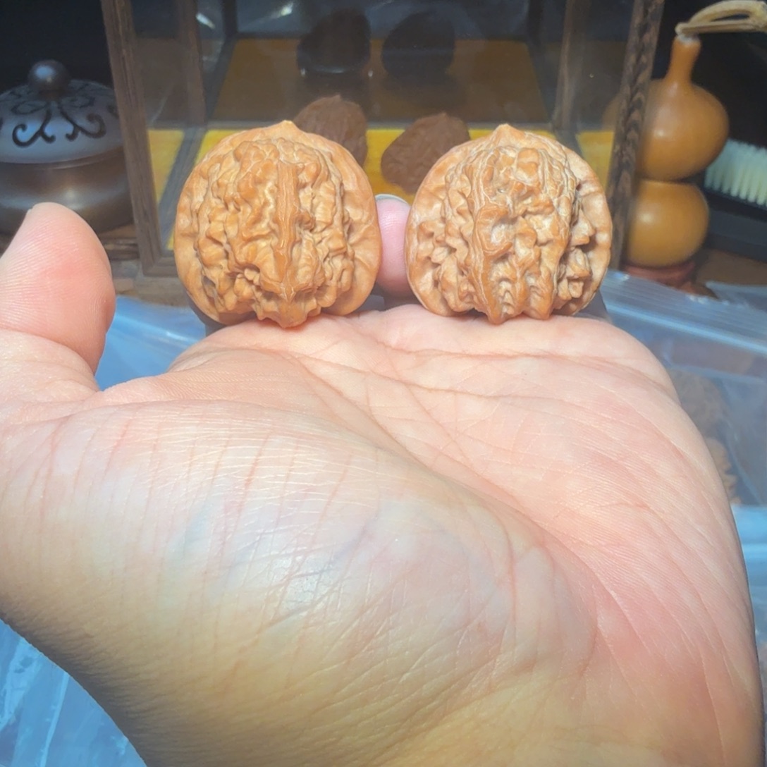 文玩核桃把件37尺寸蓟县红马蹄