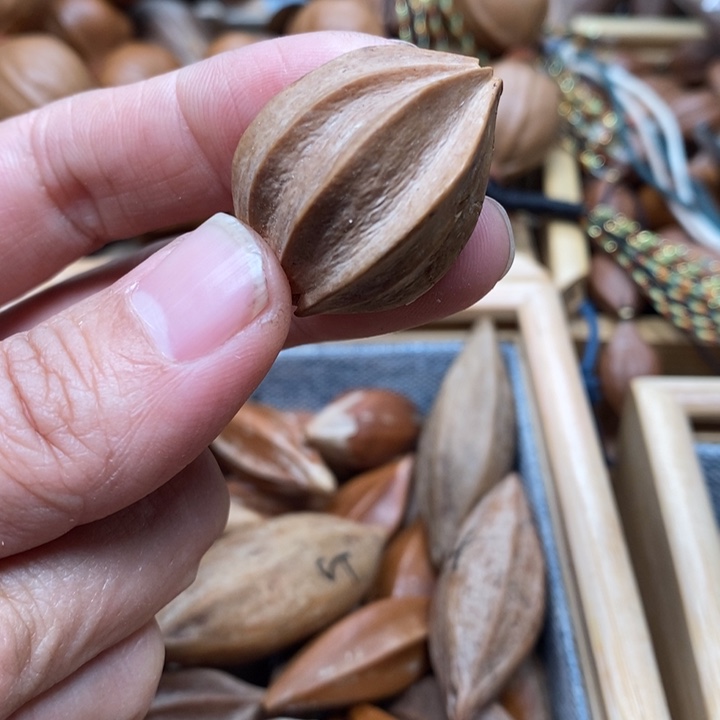 吊坠橄榄核小*根