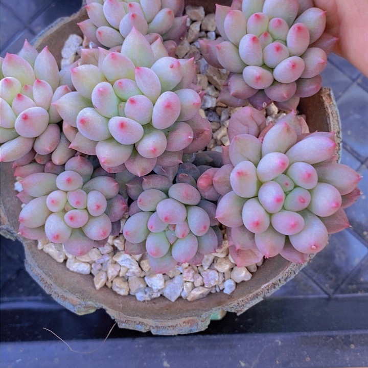 这个点就不应该喝