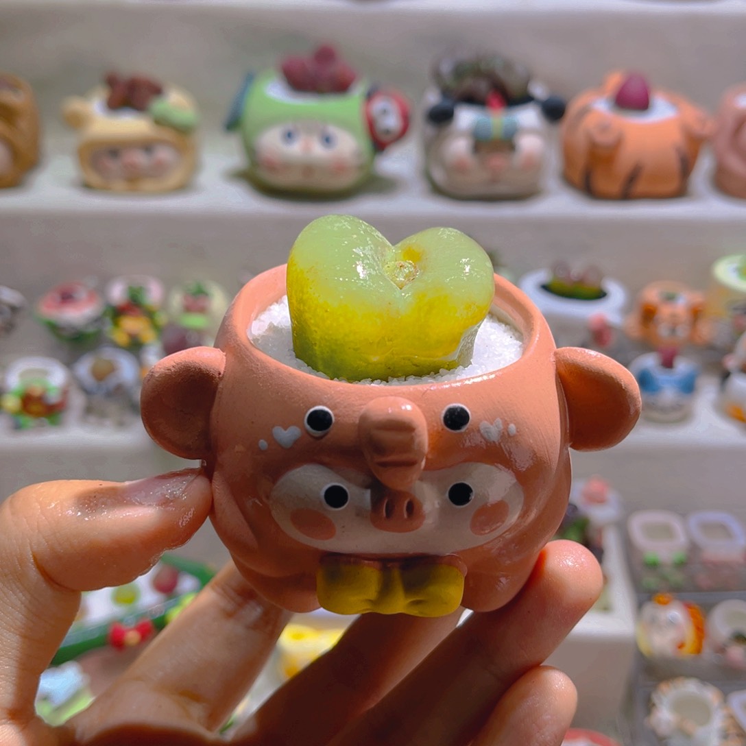 039毛汉尼带盆土一套58