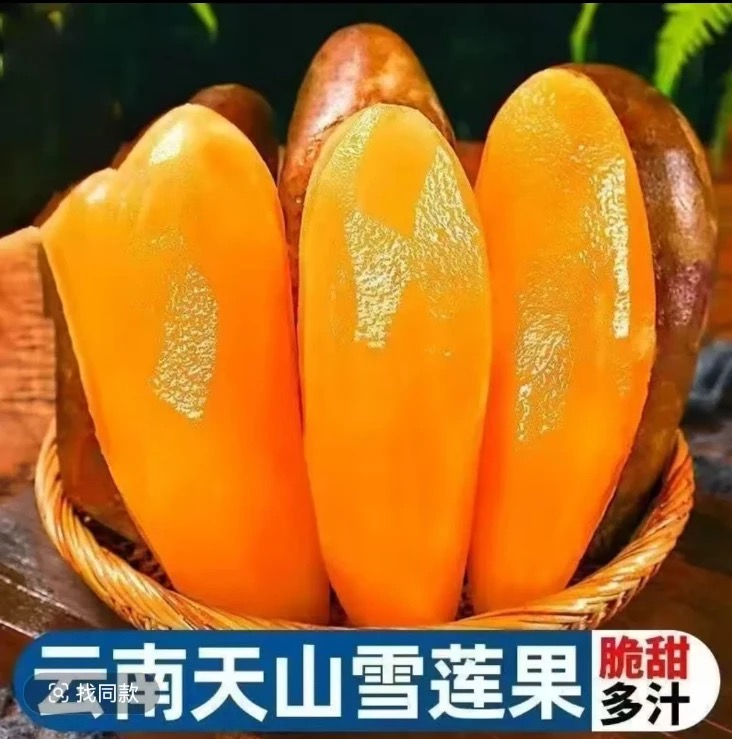 aa云南天山黄心雪莲果新鲜现挖清甜脆爽多汁应季水果直发送削皮刀