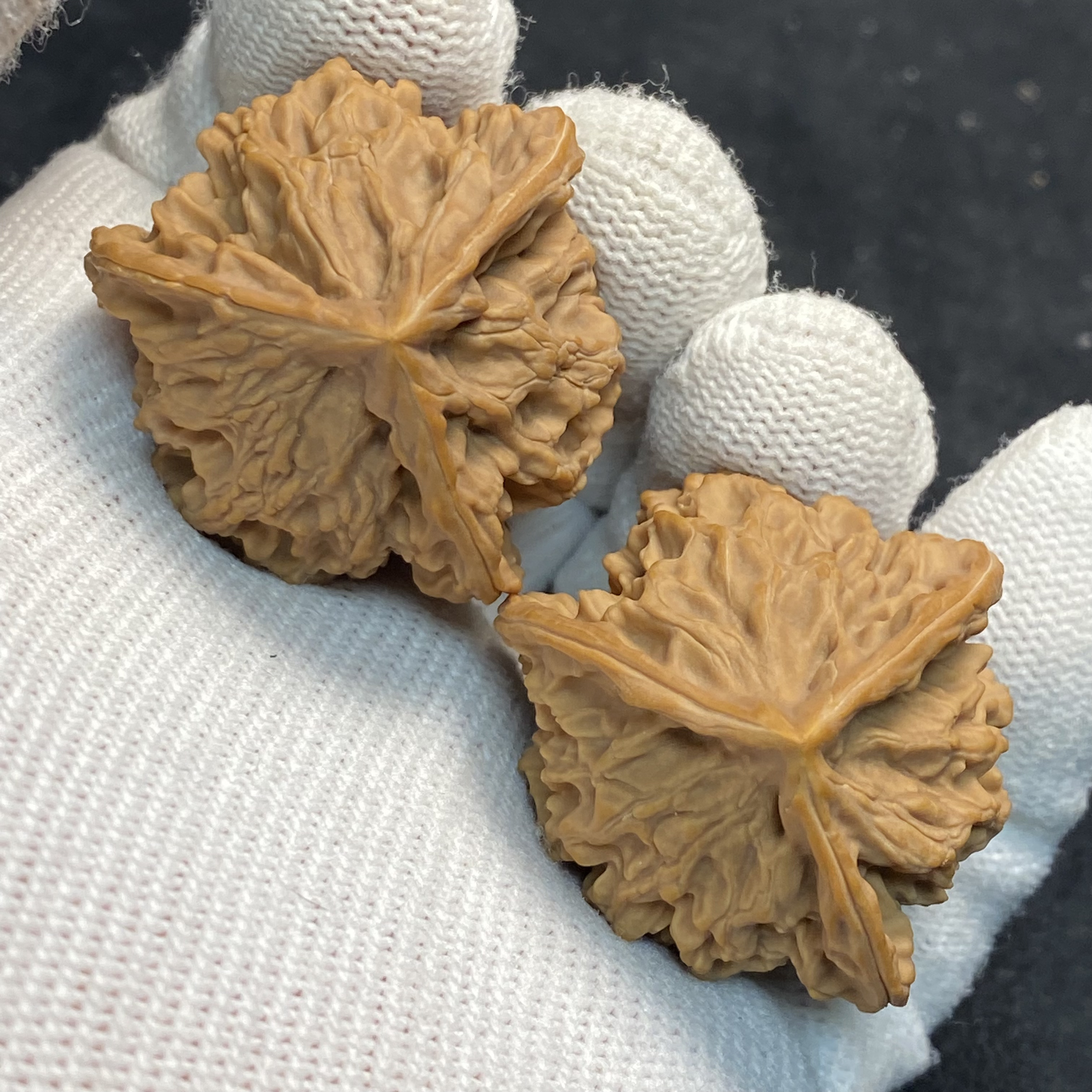 35天然盘山三棱核桃（0807）一物一图。边35-35-34高40