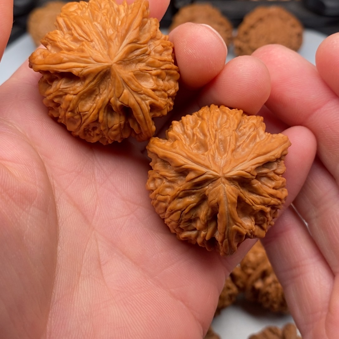 文玩核桃把件小***酒40+三棱