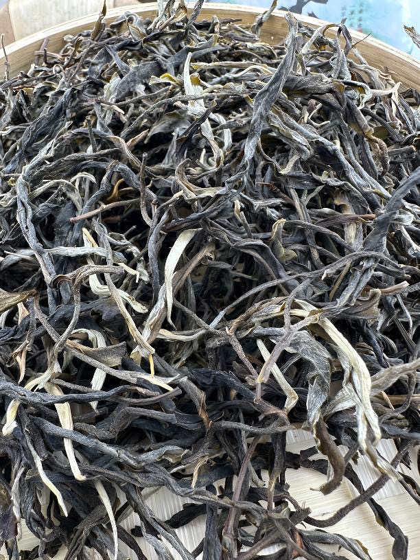 大雪山生茶散茶散茶