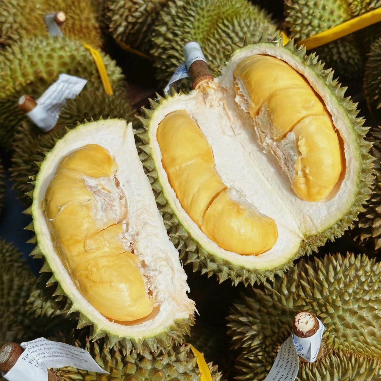 38一斤泰国干尧鲜榴莲核大甲仑泰国