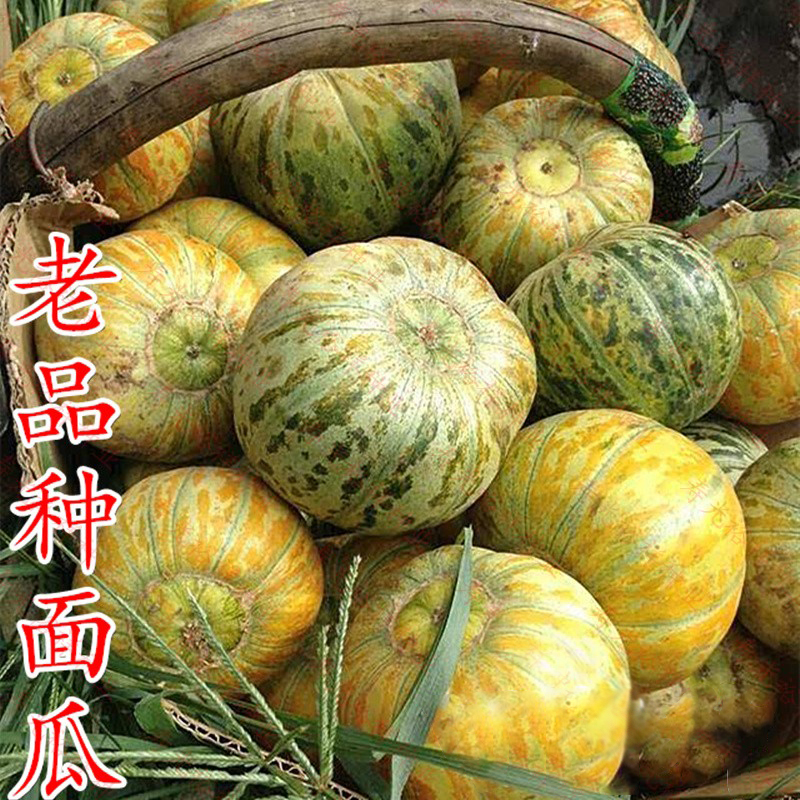 【全店满5包包邮】老品种面瓜种籽黄皮黑皮花皮面瓜种子露地生吃