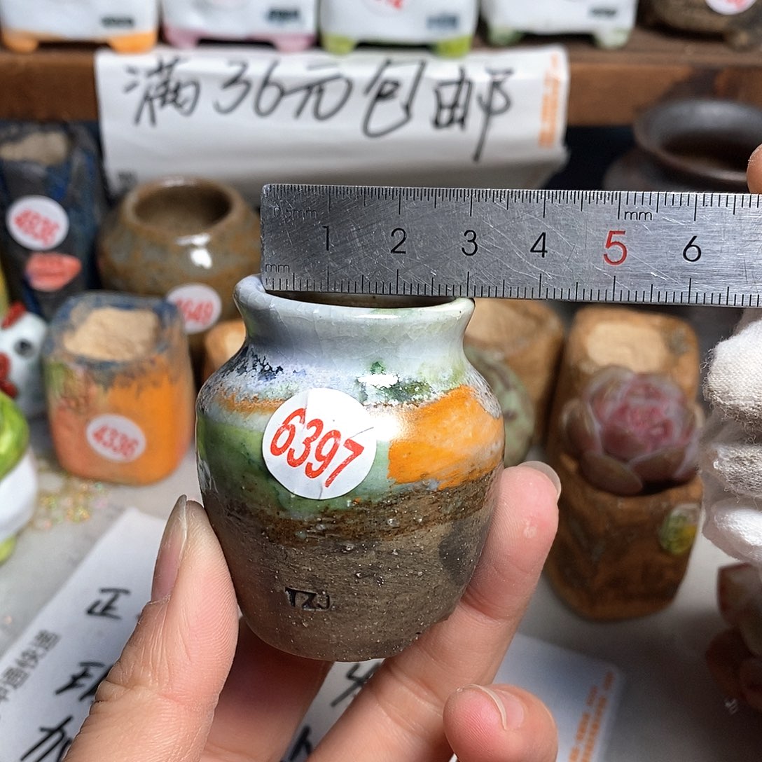 红陶拍5送一个小