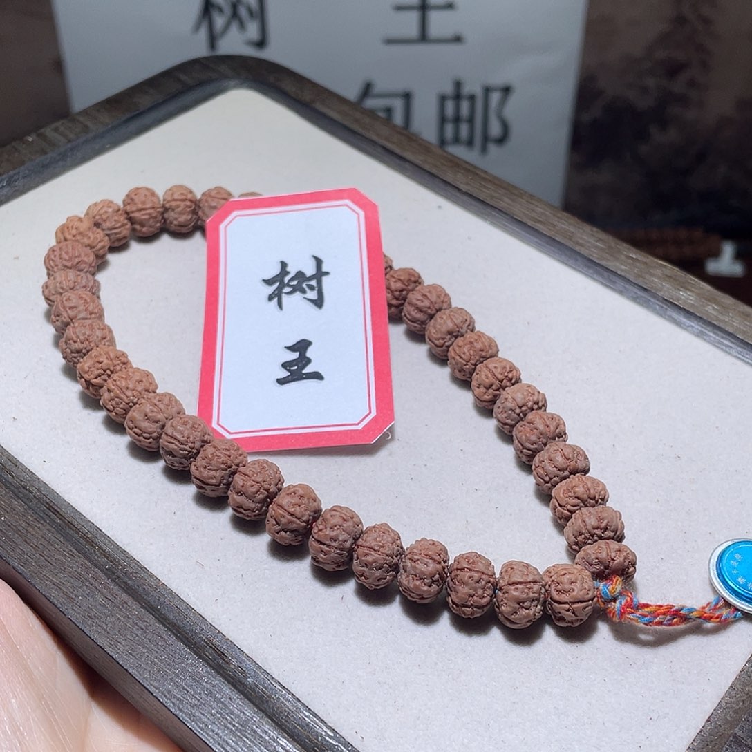 手串金刚菩提172树王