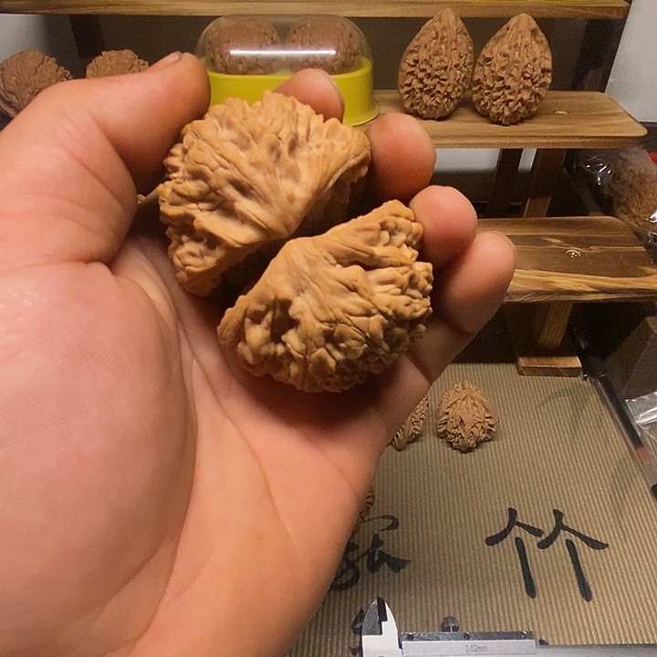 核桃全品无修，同树果。